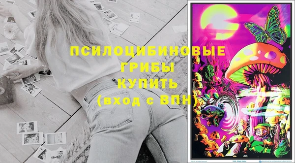 шишки Баксан