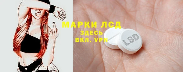 шишки Баксан