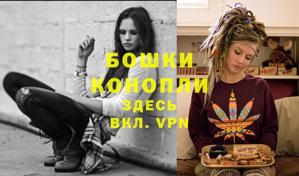шишки Баксан