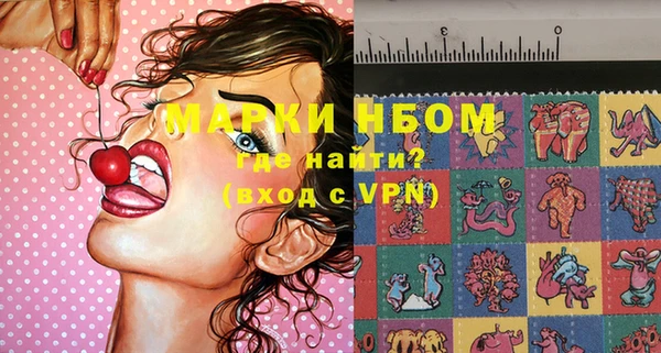 шишки Баксан