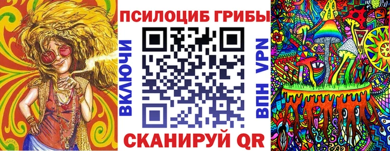 Галлюциногенные грибы Psilocybine cubensis  Змеиногорск 